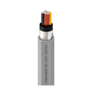 DK – CVV 0.6/1kV