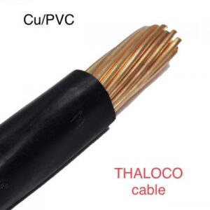 CV – Cu/PVC- 0.6/1kV