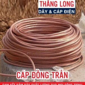 C – DÂY ĐỒNG TRẦN XOẮN